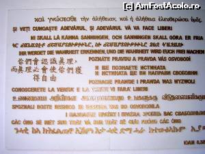 [P02] 'Adevarul este pretutindeni, dar nu-l recunoaste decat cel care-l cauta. ' Nicolae Iorga » foto by donna77
 - 
<span class="allrVoted glyphicon glyphicon-heart hidden" id="av533724"></span>
<a class="m-l-10 hidden" id="sv533724" onclick="voting_Foto_DelVot(,533724,5366)" role="button">șterge vot <span class="glyphicon glyphicon-remove"></span></a>
<a id="v9533724" class=" c-red"  onclick="voting_Foto_SetVot(533724)" role="button"><span class="glyphicon glyphicon-heart-empty"></span> <b>LIKE</b> = Votează poza</a> <img class="hidden"  id="f533724W9" src="/imagini/loader.gif" border="0" /><span class="AjErrMes hidden" id="e533724ErM"></span>