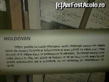 [P06] sunt oameni sau caini? » foto by aida.alecu*
 - 
<span class="allrVoted glyphicon glyphicon-heart hidden" id="av110349"></span>
<a class="m-l-10 hidden" id="sv110349" onclick="voting_Foto_DelVot(,110349,5366)" role="button">șterge vot <span class="glyphicon glyphicon-remove"></span></a>
<a id="v9110349" class=" c-red"  onclick="voting_Foto_SetVot(110349)" role="button"><span class="glyphicon glyphicon-heart-empty"></span> <b>LIKE</b> = Votează poza</a> <img class="hidden"  id="f110349W9" src="/imagini/loader.gif" border="0" /><span class="AjErrMes hidden" id="e110349ErM"></span>