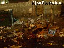 [P03] Langa strada principala in Huganda a 5 m de bulevard, mirosul va as pe voi sa-l ghiciti, infect tot orasul » foto by mariusss*
 - 
<span class="allrVoted glyphicon glyphicon-heart hidden" id="av103789"></span>
<a class="m-l-10 hidden" id="sv103789" onclick="voting_Foto_DelVot(,103789,5369)" role="button">șterge vot <span class="glyphicon glyphicon-remove"></span></a>
<a id="v9103789" class=" c-red"  onclick="voting_Foto_SetVot(103789)" role="button"><span class="glyphicon glyphicon-heart-empty"></span> <b>LIKE</b> = Votează poza</a> <img class="hidden"  id="f103789W9" src="/imagini/loader.gif" border="0" /><span class="AjErrMes hidden" id="e103789ErM"></span>