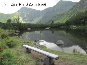 [P32]  -- <small>// FĂRĂ DESCRIERE</small> » foto by Testosu'
 - 
<span class="allrVoted glyphicon glyphicon-heart hidden" id="av777995"></span>
<a class="m-l-10 hidden" id="sv777995" onclick="voting_Foto_DelVot(,777995,5383)" role="button">șterge vot <span class="glyphicon glyphicon-remove"></span></a>
<a id="v9777995" class=" c-red"  onclick="voting_Foto_SetVot(777995)" role="button"><span class="glyphicon glyphicon-heart-empty"></span> <b>LIKE</b> = Votează poza</a> <img class="hidden"  id="f777995W9" src="/imagini/loader.gif" border="0" /><span class="AjErrMes hidden" id="e777995ErM"></span>