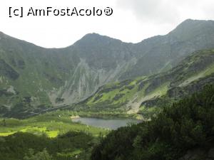 [P33]  -- <small>// FĂRĂ DESCRIERE</small> » foto by Testosu'
 - 
<span class="allrVoted glyphicon glyphicon-heart hidden" id="av777996"></span>
<a class="m-l-10 hidden" id="sv777996" onclick="voting_Foto_DelVot(,777996,5383)" role="button">șterge vot <span class="glyphicon glyphicon-remove"></span></a>
<a id="v9777996" class=" c-red"  onclick="voting_Foto_SetVot(777996)" role="button"><span class="glyphicon glyphicon-heart-empty"></span> <b>LIKE</b> = Votează poza</a> <img class="hidden"  id="f777996W9" src="/imagini/loader.gif" border="0" /><span class="AjErrMes hidden" id="e777996ErM"></span>
