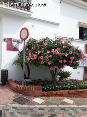 [P23] orasul vechi, pueblo Benalmadena » foto by Medinuca
 - 
<span class="allrVoted glyphicon glyphicon-heart hidden" id="av1018982"></span>
<a class="m-l-10 hidden" id="sv1018982" onclick="voting_Foto_DelVot(,1018982,5385)" role="button">șterge vot <span class="glyphicon glyphicon-remove"></span></a>
<a id="v91018982" class=" c-red"  onclick="voting_Foto_SetVot(1018982)" role="button"><span class="glyphicon glyphicon-heart-empty"></span> <b>LIKE</b> = Votează poza</a> <img class="hidden"  id="f1018982W9" src="/imagini/loader.gif" border="0" /><span class="AjErrMes hidden" id="e1018982ErM"></span>