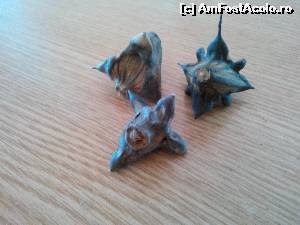 [P04] Spinii adusi de mare pe plaja » foto by TWeetY81
 - 
<span class="allrVoted glyphicon glyphicon-heart hidden" id="av538854"></span>
<a class="m-l-10 hidden" id="sv538854" onclick="voting_Foto_DelVot(,538854,5399)" role="button">șterge vot <span class="glyphicon glyphicon-remove"></span></a>
<a id="v9538854" class=" c-red"  onclick="voting_Foto_SetVot(538854)" role="button"><span class="glyphicon glyphicon-heart-empty"></span> <b>LIKE</b> = Votează poza</a> <img class="hidden"  id="f538854W9" src="/imagini/loader.gif" border="0" /><span class="AjErrMes hidden" id="e538854ErM"></span>