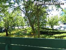 [P03] Vedere din balcon spre strada si un mic loc de joaca (venit din trecut parca :)) Copacii tineau umbra totusi camerei!  » foto by Anca2B
 - 
<span class="allrVoted glyphicon glyphicon-heart hidden" id="av493748"></span>
<a class="m-l-10 hidden" id="sv493748" onclick="voting_Foto_DelVot(,493748,5399)" role="button">șterge vot <span class="glyphicon glyphicon-remove"></span></a>
<a id="v9493748" class=" c-red"  onclick="voting_Foto_SetVot(493748)" role="button"><span class="glyphicon glyphicon-heart-empty"></span> <b>LIKE</b> = Votează poza</a> <img class="hidden"  id="f493748W9" src="/imagini/loader.gif" border="0" /><span class="AjErrMes hidden" id="e493748ErM"></span>