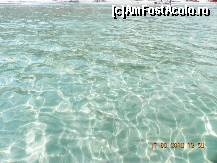 [P23] Cam asa arata apa in Skala Potamia, cu pestisori pana la mal... » foto by trandafir 1970*
 - 
<span class="allrVoted glyphicon glyphicon-heart hidden" id="av144096"></span>
<a class="m-l-10 hidden" id="sv144096" onclick="voting_Foto_DelVot(,144096,5412)" role="button">șterge vot <span class="glyphicon glyphicon-remove"></span></a>
<a id="v9144096" class=" c-red"  onclick="voting_Foto_SetVot(144096)" role="button"><span class="glyphicon glyphicon-heart-empty"></span> <b>LIKE</b> = Votează poza</a> <img class="hidden"  id="f144096W9" src="/imagini/loader.gif" border="0" /><span class="AjErrMes hidden" id="e144096ErM"></span>