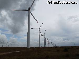 [P02] Turbine eoliene peste tot » foto by irinad
 - 
<span class="allrVoted glyphicon glyphicon-heart hidden" id="av643702"></span>
<a class="m-l-10 hidden" id="sv643702" onclick="voting_Foto_DelVot(,643702,5413)" role="button">șterge vot <span class="glyphicon glyphicon-remove"></span></a>
<a id="v9643702" class=" c-red"  onclick="voting_Foto_SetVot(643702)" role="button"><span class="glyphicon glyphicon-heart-empty"></span> <b>LIKE</b> = Votează poza</a> <img class="hidden"  id="f643702W9" src="/imagini/loader.gif" border="0" /><span class="AjErrMes hidden" id="e643702ErM"></span>