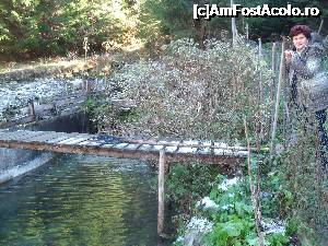 [P42] lac cu păstrăvi la cabana Tudor - ne-am luat haine de camuflaj să nu-i speriem » foto by marocanu21
 - 
<span class="allrVoted glyphicon glyphicon-heart hidden" id="av702077"></span>
<a class="m-l-10 hidden" id="sv702077" onclick="voting_Foto_DelVot(,702077,5423)" role="button">șterge vot <span class="glyphicon glyphicon-remove"></span></a>
<a id="v9702077" class=" c-red"  onclick="voting_Foto_SetVot(702077)" role="button"><span class="glyphicon glyphicon-heart-empty"></span> <b>LIKE</b> = Votează poza</a> <img class="hidden"  id="f702077W9" src="/imagini/loader.gif" border="0" /><span class="AjErrMes hidden" id="e702077ErM"></span>