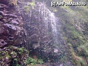 [P04] Cascada Cheile Lotaritei (asemanatoare cu 'La Chisatoare' din Cheile Dambovitei-Moeciu)  » foto by traian.leuca †
 - 
<span class="allrVoted glyphicon glyphicon-heart hidden" id="av394887"></span>
<a class="m-l-10 hidden" id="sv394887" onclick="voting_Foto_DelVot(,394887,5423)" role="button">șterge vot <span class="glyphicon glyphicon-remove"></span></a>
<a id="v9394887" class=" c-red"  onclick="voting_Foto_SetVot(394887)" role="button"><span class="glyphicon glyphicon-heart-empty"></span> <b>LIKE</b> = Votează poza</a> <img class="hidden"  id="f394887W9" src="/imagini/loader.gif" border="0" /><span class="AjErrMes hidden" id="e394887ErM"></span>