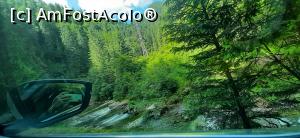 [P21] verde pozat din masina » foto by Dan&Ema
 - 
<span class="allrVoted glyphicon glyphicon-heart hidden" id="av1082077"></span>
<a class="m-l-10 hidden" id="sv1082077" onclick="voting_Foto_DelVot(,1082077,5423)" role="button">șterge vot <span class="glyphicon glyphicon-remove"></span></a>
<a id="v91082077" class=" c-red"  onclick="voting_Foto_SetVot(1082077)" role="button"><span class="glyphicon glyphicon-heart-empty"></span> <b>LIKE</b> = Votează poza</a> <img class="hidden"  id="f1082077W9" src="/imagini/loader.gif" border="0" /><span class="AjErrMes hidden" id="e1082077ErM"></span>