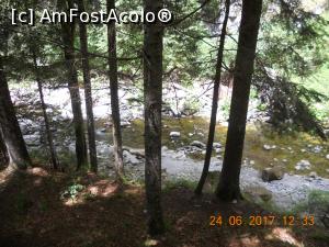 [P14] jos e valea Latoriței » foto by zlatna
 - 
<span class="allrVoted glyphicon glyphicon-heart hidden" id="av914621"></span>
<a class="m-l-10 hidden" id="sv914621" onclick="voting_Foto_DelVot(,914621,5423)" role="button">șterge vot <span class="glyphicon glyphicon-remove"></span></a>
<a id="v9914621" class=" c-red"  onclick="voting_Foto_SetVot(914621)" role="button"><span class="glyphicon glyphicon-heart-empty"></span> <b>LIKE</b> = Votează poza</a> <img class="hidden"  id="f914621W9" src="/imagini/loader.gif" border="0" /><span class="AjErrMes hidden" id="e914621ErM"></span>