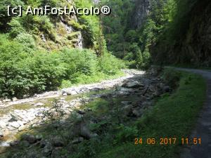 [P06] vara, pe Valea Latoriței » foto by zlatna
 - 
<span class="allrVoted glyphicon glyphicon-heart hidden" id="av914613"></span>
<a class="m-l-10 hidden" id="sv914613" onclick="voting_Foto_DelVot(,914613,5423)" role="button">șterge vot <span class="glyphicon glyphicon-remove"></span></a>
<a id="v9914613" class=" c-red"  onclick="voting_Foto_SetVot(914613)" role="button"><span class="glyphicon glyphicon-heart-empty"></span> <b>LIKE</b> = Votează poza</a> <img class="hidden"  id="f914613W9" src="/imagini/loader.gif" border="0" /><span class="AjErrMes hidden" id="e914613ErM"></span>