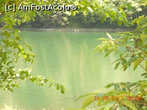 [P10] lacul Petrimanu , e verde ca smaraldul » foto by zlatna
 - 
<span class="allrVoted glyphicon glyphicon-heart hidden" id="av923186"></span>
<a class="m-l-10 hidden" id="sv923186" onclick="voting_Foto_DelVot(,923186,5423)" role="button">șterge vot <span class="glyphicon glyphicon-remove"></span></a>
<a id="v9923186" class=" c-red"  onclick="voting_Foto_SetVot(923186)" role="button"><span class="glyphicon glyphicon-heart-empty"></span> <b>LIKE</b> = Votează poza</a> <img class="hidden"  id="f923186W9" src="/imagini/loader.gif" border="0" /><span class="AjErrMes hidden" id="e923186ErM"></span>