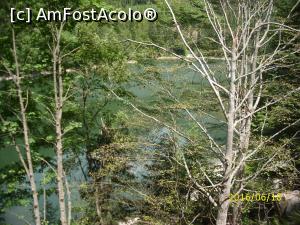 [P25] Lacul Petrimanu » foto by puiutea
 - 
<span class="allrVoted glyphicon glyphicon-heart hidden" id="av753025"></span>
<a class="m-l-10 hidden" id="sv753025" onclick="voting_Foto_DelVot(,753025,5423)" role="button">șterge vot <span class="glyphicon glyphicon-remove"></span></a>
<a id="v9753025" class=" c-red"  onclick="voting_Foto_SetVot(753025)" role="button"><span class="glyphicon glyphicon-heart-empty"></span> <b>LIKE</b> = Votează poza</a> <img class="hidden"  id="f753025W9" src="/imagini/loader.gif" border="0" /><span class="AjErrMes hidden" id="e753025ErM"></span>