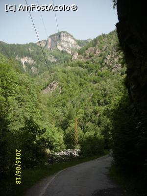 [P03] Frumusețea Cheilor » foto by puiutea
 - 
<span class="allrVoted glyphicon glyphicon-heart hidden" id="av753002"></span>
<a class="m-l-10 hidden" id="sv753002" onclick="voting_Foto_DelVot(,753002,5423)" role="button">șterge vot <span class="glyphicon glyphicon-remove"></span></a>
<a id="v9753002" class=" c-red"  onclick="voting_Foto_SetVot(753002)" role="button"><span class="glyphicon glyphicon-heart-empty"></span> <b>LIKE</b> = Votează poza</a> <img class="hidden"  id="f753002W9" src="/imagini/loader.gif" border="0" /><span class="AjErrMes hidden" id="e753002ErM"></span>