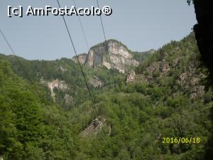 [P04]  -- <small>// FĂRĂ DESCRIERE</small> » foto by puiutea
 - 
<span class="allrVoted glyphicon glyphicon-heart hidden" id="av753003"></span>
<a class="m-l-10 hidden" id="sv753003" onclick="voting_Foto_DelVot(,753003,5423)" role="button">șterge vot <span class="glyphicon glyphicon-remove"></span></a>
<a id="v9753003" class=" c-red"  onclick="voting_Foto_SetVot(753003)" role="button"><span class="glyphicon glyphicon-heart-empty"></span> <b>LIKE</b> = Votează poza</a> <img class="hidden"  id="f753003W9" src="/imagini/loader.gif" border="0" /><span class="AjErrMes hidden" id="e753003ErM"></span>