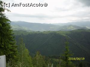 [P10] ... și alta...  » foto by puiutea
 - 
<span class="allrVoted glyphicon glyphicon-heart hidden" id="av753243"></span>
<a class="m-l-10 hidden" id="sv753243" onclick="voting_Foto_DelVot(,753243,5423)" role="button">șterge vot <span class="glyphicon glyphicon-remove"></span></a>
<a id="v9753243" class=" c-red"  onclick="voting_Foto_SetVot(753243)" role="button"><span class="glyphicon glyphicon-heart-empty"></span> <b>LIKE</b> = Votează poza</a> <img class="hidden"  id="f753243W9" src="/imagini/loader.gif" border="0" /><span class="AjErrMes hidden" id="e753243ErM"></span>