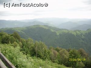 [P11]  -- <small>// FĂRĂ DESCRIERE</small> » foto by puiutea
 - 
<span class="allrVoted glyphicon glyphicon-heart hidden" id="av753247"></span>
<a class="m-l-10 hidden" id="sv753247" onclick="voting_Foto_DelVot(,753247,5423)" role="button">șterge vot <span class="glyphicon glyphicon-remove"></span></a>
<a id="v9753247" class=" c-red"  onclick="voting_Foto_SetVot(753247)" role="button"><span class="glyphicon glyphicon-heart-empty"></span> <b>LIKE</b> = Votează poza</a> <img class="hidden"  id="f753247W9" src="/imagini/loader.gif" border="0" /><span class="AjErrMes hidden" id="e753247ErM"></span>