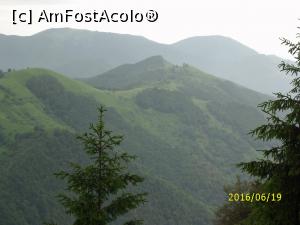 [P08] Și alta...  » foto by puiutea
 - 
<span class="allrVoted glyphicon glyphicon-heart hidden" id="av753239"></span>
<a class="m-l-10 hidden" id="sv753239" onclick="voting_Foto_DelVot(,753239,5423)" role="button">șterge vot <span class="glyphicon glyphicon-remove"></span></a>
<a id="v9753239" class=" c-red"  onclick="voting_Foto_SetVot(753239)" role="button"><span class="glyphicon glyphicon-heart-empty"></span> <b>LIKE</b> = Votează poza</a> <img class="hidden"  id="f753239W9" src="/imagini/loader.gif" border="0" /><span class="AjErrMes hidden" id="e753239ErM"></span>