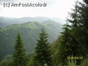 [P09] ... si alta...  » foto by puiutea
 - 
<span class="allrVoted glyphicon glyphicon-heart hidden" id="av753241"></span>
<a class="m-l-10 hidden" id="sv753241" onclick="voting_Foto_DelVot(,753241,5423)" role="button">șterge vot <span class="glyphicon glyphicon-remove"></span></a>
<a id="v9753241" class=" c-red"  onclick="voting_Foto_SetVot(753241)" role="button"><span class="glyphicon glyphicon-heart-empty"></span> <b>LIKE</b> = Votează poza</a> <img class="hidden"  id="f753241W9" src="/imagini/loader.gif" border="0" /><span class="AjErrMes hidden" id="e753241ErM"></span>