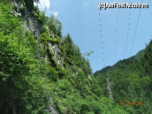 [P14] Cheile Latoritei - Spectaculoase si putin cunoscute - Si ceva din versantul din stanga. Vedeti in mijlocul fotografiei un brad inclinat care intr-un final va cadea cu siguranta.  » foto by vega06
 - 
<span class="allrVoted glyphicon glyphicon-heart hidden" id="av628536"></span>
<a class="m-l-10 hidden" id="sv628536" onclick="voting_Foto_DelVot(,628536,5423)" role="button">șterge vot <span class="glyphicon glyphicon-remove"></span></a>
<a id="v9628536" class=" c-red"  onclick="voting_Foto_SetVot(628536)" role="button"><span class="glyphicon glyphicon-heart-empty"></span> <b>LIKE</b> = Votează poza</a> <img class="hidden"  id="f628536W9" src="/imagini/loader.gif" border="0" /><span class="AjErrMes hidden" id="e628536ErM"></span>