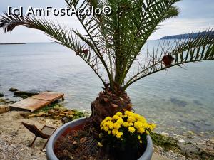 [P53] Barul Școlii de Surf Varna » foto by crismis
 - 
<span class="allrVoted glyphicon glyphicon-heart hidden" id="av1217923"></span>
<a class="m-l-10 hidden" id="sv1217923" onclick="voting_Foto_DelVot(,1217923,5424)" role="button">șterge vot <span class="glyphicon glyphicon-remove"></span></a>
<a id="v91217923" class=" c-red"  onclick="voting_Foto_SetVot(1217923)" role="button"><span class="glyphicon glyphicon-heart-empty"></span> <b>LIKE</b> = Votează poza</a> <img class="hidden"  id="f1217923W9" src="/imagini/loader.gif" border="0" /><span class="AjErrMes hidden" id="e1217923ErM"></span>