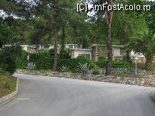 [P02] Urcand spre bungalow-urile ascunse printre copaci si garduri vii » foto by vini
 - 
<span class="allrVoted glyphicon glyphicon-heart hidden" id="av85605"></span>
<a class="m-l-10 hidden" id="sv85605" onclick="voting_Foto_DelVot(,85605,5425)" role="button">șterge vot <span class="glyphicon glyphicon-remove"></span></a>
<a id="v985605" class=" c-red"  onclick="voting_Foto_SetVot(85605)" role="button"><span class="glyphicon glyphicon-heart-empty"></span> <b>LIKE</b> = Votează poza</a> <img class="hidden"  id="f85605W9" src="/imagini/loader.gif" border="0" /><span class="AjErrMes hidden" id="e85605ErM"></span>