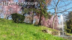 [P05] Copaci roz pe Malul Begai » foto by noi doi
 - 
<span class="allrVoted glyphicon glyphicon-heart hidden" id="av729598"></span>
<a class="m-l-10 hidden" id="sv729598" onclick="voting_Foto_DelVot(,729598,5428)" role="button">șterge vot <span class="glyphicon glyphicon-remove"></span></a>
<a id="v9729598" class=" c-red"  onclick="voting_Foto_SetVot(729598)" role="button"><span class="glyphicon glyphicon-heart-empty"></span> <b>LIKE</b> = Votează poza</a> <img class="hidden"  id="f729598W9" src="/imagini/loader.gif" border="0" /><span class="AjErrMes hidden" id="e729598ErM"></span>