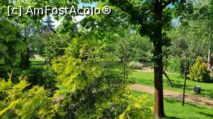[P22] Parcul Rozelor » foto by robert
 - 
<span class="allrVoted glyphicon glyphicon-heart hidden" id="av1243747"></span>
<a class="m-l-10 hidden" id="sv1243747" onclick="voting_Foto_DelVot(,1243747,5428)" role="button">șterge vot <span class="glyphicon glyphicon-remove"></span></a>
<a id="v91243747" class=" c-red"  onclick="voting_Foto_SetVot(1243747)" role="button"><span class="glyphicon glyphicon-heart-empty"></span> <b>LIKE</b> = Votează poza</a> <img class="hidden"  id="f1243747W9" src="/imagini/loader.gif" border="0" /><span class="AjErrMes hidden" id="e1243747ErM"></span>