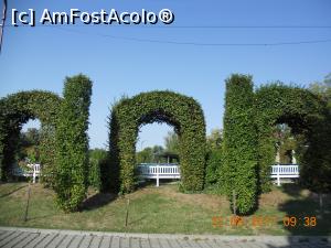 [P07] în parcul Rozelor din Timișoara » foto by zlatna
 - 
<span class="allrVoted glyphicon glyphicon-heart hidden" id="av903445"></span>
<a class="m-l-10 hidden" id="sv903445" onclick="voting_Foto_DelVot(,903445,5428)" role="button">șterge vot <span class="glyphicon glyphicon-remove"></span></a>
<a id="v9903445" class=" c-red"  onclick="voting_Foto_SetVot(903445)" role="button"><span class="glyphicon glyphicon-heart-empty"></span> <b>LIKE</b> = Votează poza</a> <img class="hidden"  id="f903445W9" src="/imagini/loader.gif" border="0" /><span class="AjErrMes hidden" id="e903445ErM"></span>