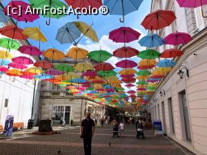 [P12] Strada cu umbrele de și nu plouă » foto by AZE
 - 
<span class="allrVoted glyphicon glyphicon-heart hidden" id="av1315585"></span>
<a class="m-l-10 hidden" id="sv1315585" onclick="voting_Foto_DelVot(,1315585,5428)" role="button">șterge vot <span class="glyphicon glyphicon-remove"></span></a>
<a id="v91315585" class=" c-red"  onclick="voting_Foto_SetVot(1315585)" role="button"><span class="glyphicon glyphicon-heart-empty"></span> <b>LIKE</b> = Votează poza</a> <img class="hidden"  id="f1315585W9" src="/imagini/loader.gif" border="0" /><span class="AjErrMes hidden" id="e1315585ErM"></span>