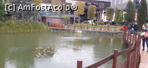 [P05] Lacul si podul » foto by deeutza
 - 
<span class="allrVoted glyphicon glyphicon-heart hidden" id="av1331132"></span>
<a class="m-l-10 hidden" id="sv1331132" onclick="voting_Foto_DelVot(,1331132,5428)" role="button">șterge vot <span class="glyphicon glyphicon-remove"></span></a>
<a id="v91331132" class=" c-red"  onclick="voting_Foto_SetVot(1331132)" role="button"><span class="glyphicon glyphicon-heart-empty"></span> <b>LIKE</b> = Votează poza</a> <img class="hidden"  id="f1331132W9" src="/imagini/loader.gif" border="0" /><span class="AjErrMes hidden" id="e1331132ErM"></span>