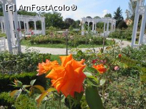 [P05] Parcul Rozelor - Timișoara.  » foto by tata123 🔱
 - 
<span class="allrVoted glyphicon glyphicon-heart hidden" id="av810853"></span>
<a class="m-l-10 hidden" id="sv810853" onclick="voting_Foto_DelVot(,810853,5428)" role="button">șterge vot <span class="glyphicon glyphicon-remove"></span></a>
<a id="v9810853" class=" c-red"  onclick="voting_Foto_SetVot(810853)" role="button"><span class="glyphicon glyphicon-heart-empty"></span> <b>LIKE</b> = Votează poza</a> <img class="hidden"  id="f810853W9" src="/imagini/loader.gif" border="0" /><span class="AjErrMes hidden" id="e810853ErM"></span>