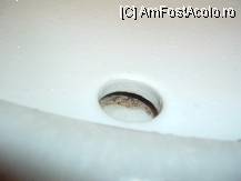 [P05] scurgerea de preaplin » foto by karinastanciu
 - 
<span class="allrVoted glyphicon glyphicon-heart hidden" id="av64492"></span>
<a class="m-l-10 hidden" id="sv64492" onclick="voting_Foto_DelVot(,64492,5432)" role="button">șterge vot <span class="glyphicon glyphicon-remove"></span></a>
<a id="v964492" class=" c-red"  onclick="voting_Foto_SetVot(64492)" role="button"><span class="glyphicon glyphicon-heart-empty"></span> <b>LIKE</b> = Votează poza</a> <img class="hidden"  id="f64492W9" src="/imagini/loader.gif" border="0" /><span class="AjErrMes hidden" id="e64492ErM"></span>