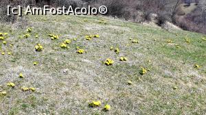 [P55] Rușchuța de primăvară - aprilie » foto by k-lator
 - 
<span class="allrVoted glyphicon glyphicon-heart hidden" id="av1221689"></span>
<a class="m-l-10 hidden" id="sv1221689" onclick="voting_Foto_DelVot(,1221689,5439)" role="button">șterge vot <span class="glyphicon glyphicon-remove"></span></a>
<a id="v91221689" class=" c-red"  onclick="voting_Foto_SetVot(1221689)" role="button"><span class="glyphicon glyphicon-heart-empty"></span> <b>LIKE</b> = Votează poza</a> <img class="hidden"  id="f1221689W9" src="/imagini/loader.gif" border="0" /><span class="AjErrMes hidden" id="e1221689ErM"></span>