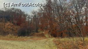 [P09] Locul de plecare către releele de telecomunicatii de pe vârful Istrița » foto by k-lator
 - 
<span class="allrVoted glyphicon glyphicon-heart hidden" id="av1219432"></span>
<a class="m-l-10 hidden" id="sv1219432" onclick="voting_Foto_DelVot(,1219432,5439)" role="button">șterge vot <span class="glyphicon glyphicon-remove"></span></a>
<a id="v91219432" class=" c-red"  onclick="voting_Foto_SetVot(1219432)" role="button"><span class="glyphicon glyphicon-heart-empty"></span> <b>LIKE</b> = Votează poza</a> <img class="hidden"  id="f1219432W9" src="/imagini/loader.gif" border="0" /><span class="AjErrMes hidden" id="e1219432ErM"></span>