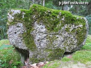 [P18] Cruce de piatra, deasupra Pietrei Ingaurite » foto by Testosu'
 - 
<span class="allrVoted glyphicon glyphicon-heart hidden" id="av559619"></span>
<a class="m-l-10 hidden" id="sv559619" onclick="voting_Foto_DelVot(,559619,5439)" role="button">șterge vot <span class="glyphicon glyphicon-remove"></span></a>
<a id="v9559619" class=" c-red"  onclick="voting_Foto_SetVot(559619)" role="button"><span class="glyphicon glyphicon-heart-empty"></span> <b>LIKE</b> = Votează poza</a> <img class="hidden"  id="f559619W9" src="/imagini/loader.gif" border="0" /><span class="AjErrMes hidden" id="e559619ErM"></span>