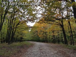 [P15] Am urcat apoi prin pădure către vârful dealului Istrița. » foto by Floryn81
 - 
<span class="allrVoted glyphicon glyphicon-heart hidden" id="av1199065"></span>
<a class="m-l-10 hidden" id="sv1199065" onclick="voting_Foto_DelVot(,1199065,5439)" role="button">șterge vot <span class="glyphicon glyphicon-remove"></span></a>
<a id="v91199065" class=" c-red"  onclick="voting_Foto_SetVot(1199065)" role="button"><span class="glyphicon glyphicon-heart-empty"></span> <b>LIKE</b> = Votează poza</a> <img class="hidden"  id="f1199065W9" src="/imagini/loader.gif" border="0" /><span class="AjErrMes hidden" id="e1199065ErM"></span>