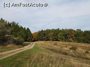 [P18] Toamna pe meleaguri buzoiene. Pe acest drum forestier am ajuns în locul de maximă altitudine de pe Istrița. » foto by Floryn81
 - 
<span class="allrVoted glyphicon glyphicon-heart hidden" id="av1199068"></span>
<a class="m-l-10 hidden" id="sv1199068" onclick="voting_Foto_DelVot(,1199068,5439)" role="button">șterge vot <span class="glyphicon glyphicon-remove"></span></a>
<a id="v91199068" class=" c-red"  onclick="voting_Foto_SetVot(1199068)" role="button"><span class="glyphicon glyphicon-heart-empty"></span> <b>LIKE</b> = Votează poza</a> <img class="hidden"  id="f1199068W9" src="/imagini/loader.gif" border="0" /><span class="AjErrMes hidden" id="e1199068ErM"></span>