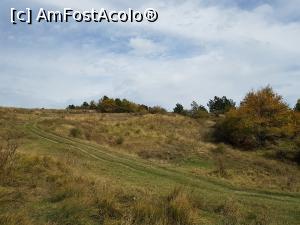 [P03] Promontoriul natural unde se află ruinele fortificației dacice de la Gruiu Dării. » foto by Floryn81
 - 
<span class="allrVoted glyphicon glyphicon-heart hidden" id="av1199050"></span>
<a class="m-l-10 hidden" id="sv1199050" onclick="voting_Foto_DelVot(,1199050,5439)" role="button">șterge vot <span class="glyphicon glyphicon-remove"></span></a>
<a id="v91199050" class=" c-red"  onclick="voting_Foto_SetVot(1199050)" role="button"><span class="glyphicon glyphicon-heart-empty"></span> <b>LIKE</b> = Votează poza</a> <img class="hidden"  id="f1199050W9" src="/imagini/loader.gif" border="0" /><span class="AjErrMes hidden" id="e1199050ErM"></span>