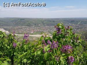[P17] Plimbare prin rezervația de tip floristic ”Dealul cu lilieci” de la Cernătești, județul Buzău. » foto by Floryn81
 - 
<span class="allrVoted glyphicon glyphicon-heart hidden" id="av1224095"></span>
<a class="m-l-10 hidden" id="sv1224095" onclick="voting_Foto_DelVot(,1224095,5439)" role="button">șterge vot <span class="glyphicon glyphicon-remove"></span></a>
<a id="v91224095" class=" c-red"  onclick="voting_Foto_SetVot(1224095)" role="button"><span class="glyphicon glyphicon-heart-empty"></span> <b>LIKE</b> = Votează poza</a> <img class="hidden"  id="f1224095W9" src="/imagini/loader.gif" border="0" /><span class="AjErrMes hidden" id="e1224095ErM"></span>
