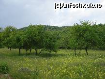 [P01] La plimbare prin mijlocul naturii » foto by Floryn81
 - 
<span class="allrVoted glyphicon glyphicon-heart hidden" id="av310586"></span>
<a class="m-l-10 hidden" id="sv310586" onclick="voting_Foto_DelVot(,310586,5439)" role="button">șterge vot <span class="glyphicon glyphicon-remove"></span></a>
<a id="v9310586" class=" c-red"  onclick="voting_Foto_SetVot(310586)" role="button"><span class="glyphicon glyphicon-heart-empty"></span> <b>LIKE</b> = Votează poza</a> <img class="hidden"  id="f310586W9" src="/imagini/loader.gif" border="0" /><span class="AjErrMes hidden" id="e310586ErM"></span>