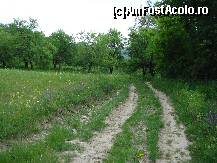 [P02] Drum de țară și o pajiște plină cu pomi fructiferi. Locație ce merită vizitată și toamna! » foto by Floryn81
 - 
<span class="allrVoted glyphicon glyphicon-heart hidden" id="av310587"></span>
<a class="m-l-10 hidden" id="sv310587" onclick="voting_Foto_DelVot(,310587,5439)" role="button">șterge vot <span class="glyphicon glyphicon-remove"></span></a>
<a id="v9310587" class=" c-red"  onclick="voting_Foto_SetVot(310587)" role="button"><span class="glyphicon glyphicon-heart-empty"></span> <b>LIKE</b> = Votează poza</a> <img class="hidden"  id="f310587W9" src="/imagini/loader.gif" border="0" /><span class="AjErrMes hidden" id="e310587ErM"></span>