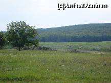 [P42] Hoinărind pe prundurile din zonă! În depărtare se observă pajiștea de la Roiu, la marginea pădurii! » foto by Floryn81
 - 
<span class="allrVoted glyphicon glyphicon-heart hidden" id="av310643"></span>
<a class="m-l-10 hidden" id="sv310643" onclick="voting_Foto_DelVot(,310643,5439)" role="button">șterge vot <span class="glyphicon glyphicon-remove"></span></a>
<a id="v9310643" class=" c-red"  onclick="voting_Foto_SetVot(310643)" role="button"><span class="glyphicon glyphicon-heart-empty"></span> <b>LIKE</b> = Votează poza</a> <img class="hidden"  id="f310643W9" src="/imagini/loader.gif" border="0" /><span class="AjErrMes hidden" id="e310643ErM"></span>
