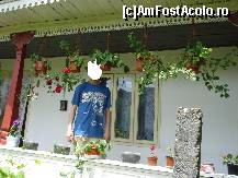 [P45] Prispa unei case din satul Ceairu! » foto by Floryn81
 - 
<span class="allrVoted glyphicon glyphicon-heart hidden" id="av310646"></span>
<a class="m-l-10 hidden" id="sv310646" onclick="voting_Foto_DelVot(,310646,5439)" role="button">șterge vot <span class="glyphicon glyphicon-remove"></span></a>
<a id="v9310646" class=" c-red"  onclick="voting_Foto_SetVot(310646)" role="button"><span class="glyphicon glyphicon-heart-empty"></span> <b>LIKE</b> = Votează poza</a> <img class="hidden"  id="f310646W9" src="/imagini/loader.gif" border="0" /><span class="AjErrMes hidden" id="e310646ErM"></span>