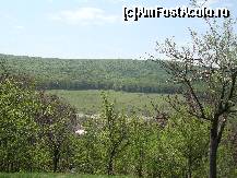 [P47] Pășunea de la Roiu (în zare, la marginea pădurii) este la fel de atrăgătoare și în aprilie 2012. » foto by Floryn81
 - 
<span class="allrVoted glyphicon glyphicon-heart hidden" id="av312759"></span>
<a class="m-l-10 hidden" id="sv312759" onclick="voting_Foto_DelVot(,312759,5439)" role="button">șterge vot <span class="glyphicon glyphicon-remove"></span></a>
<a id="v9312759" class=" c-red"  onclick="voting_Foto_SetVot(312759)" role="button"><span class="glyphicon glyphicon-heart-empty"></span> <b>LIKE</b> = Votează poza</a> <img class="hidden"  id="f312759W9" src="/imagini/loader.gif" border="0" /><span class="AjErrMes hidden" id="e312759ErM"></span>