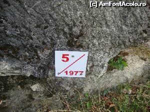 [P47] Lucrările expuse pot fi identificate după număr și anul realizării.  » foto by Floryn81
 - 
<span class="allrVoted glyphicon glyphicon-heart hidden" id="av603498"></span>
<a class="m-l-10 hidden" id="sv603498" onclick="voting_Foto_DelVot(,603498,5439)" role="button">șterge vot <span class="glyphicon glyphicon-remove"></span></a>
<a id="v9603498" class=" c-red"  onclick="voting_Foto_SetVot(603498)" role="button"><span class="glyphicon glyphicon-heart-empty"></span> <b>LIKE</b> = Votează poza</a> <img class="hidden"  id="f603498W9" src="/imagini/loader.gif" border="0" /><span class="AjErrMes hidden" id="e603498ErM"></span>