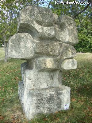 [P56] Tabăra de sculptură Măgura - Lucrarea ”Întrepătrunderi”, realizată de artistul Edith Orlowschy în anul 1971 (Ediția a II-a).  » foto by Floryn81
 - 
<span class="allrVoted glyphicon glyphicon-heart hidden" id="av603507"></span>
<a class="m-l-10 hidden" id="sv603507" onclick="voting_Foto_DelVot(,603507,5439)" role="button">șterge vot <span class="glyphicon glyphicon-remove"></span></a>
<a id="v9603507" class=" c-red"  onclick="voting_Foto_SetVot(603507)" role="button"><span class="glyphicon glyphicon-heart-empty"></span> <b>LIKE</b> = Votează poza</a> <img class="hidden"  id="f603507W9" src="/imagini/loader.gif" border="0" /><span class="AjErrMes hidden" id="e603507ErM"></span>