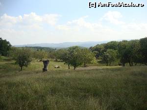 [P63] Tabăra de sculptură Măgura - Lucrările sunt expuse într-un spațiu foarte larg, pe aproximativ 21 de hectare. În vale se zărește printre copaci turla bisericii de la Mănăstirea Ciolanu, lăcaș de cult aflat în vecinătatea Taberei de sculptură Măgura.  » foto by Floryn81
 - 
<span class="allrVoted glyphicon glyphicon-heart hidden" id="av603514"></span>
<a class="m-l-10 hidden" id="sv603514" onclick="voting_Foto_DelVot(,603514,5439)" role="button">șterge vot <span class="glyphicon glyphicon-remove"></span></a>
<a id="v9603514" class=" c-red"  onclick="voting_Foto_SetVot(603514)" role="button"><span class="glyphicon glyphicon-heart-empty"></span> <b>LIKE</b> = Votează poza</a> <img class="hidden"  id="f603514W9" src="/imagini/loader.gif" border="0" /><span class="AjErrMes hidden" id="e603514ErM"></span>