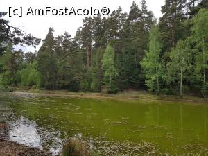 [P09] Lacul Limpede de la Bisoca. » foto by Floryn81
 - 
<span class="allrVoted glyphicon glyphicon-heart hidden" id="av1169599"></span>
<a class="m-l-10 hidden" id="sv1169599" onclick="voting_Foto_DelVot(,1169599,5439)" role="button">șterge vot <span class="glyphicon glyphicon-remove"></span></a>
<a id="v91169599" class=" c-red"  onclick="voting_Foto_SetVot(1169599)" role="button"><span class="glyphicon glyphicon-heart-empty"></span> <b>LIKE</b> = Votează poza</a> <img class="hidden"  id="f1169599W9" src="/imagini/loader.gif" border="0" /><span class="AjErrMes hidden" id="e1169599ErM"></span>