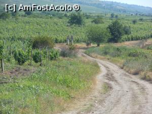 [P13] Intre Sahateni si Naeni. Pe drumul dintre vii, cruci de piatra si o fantana. » foto by iulianic
 - 
<span class="allrVoted glyphicon glyphicon-heart hidden" id="av1305980"></span>
<a class="m-l-10 hidden" id="sv1305980" onclick="voting_Foto_DelVot(,1305980,5439)" role="button">șterge vot <span class="glyphicon glyphicon-remove"></span></a>
<a id="v91305980" class=" c-red"  onclick="voting_Foto_SetVot(1305980)" role="button"><span class="glyphicon glyphicon-heart-empty"></span> <b>LIKE</b> = Votează poza</a> <img class="hidden"  id="f1305980W9" src="/imagini/loader.gif" border="0" /><span class="AjErrMes hidden" id="e1305980ErM"></span>
